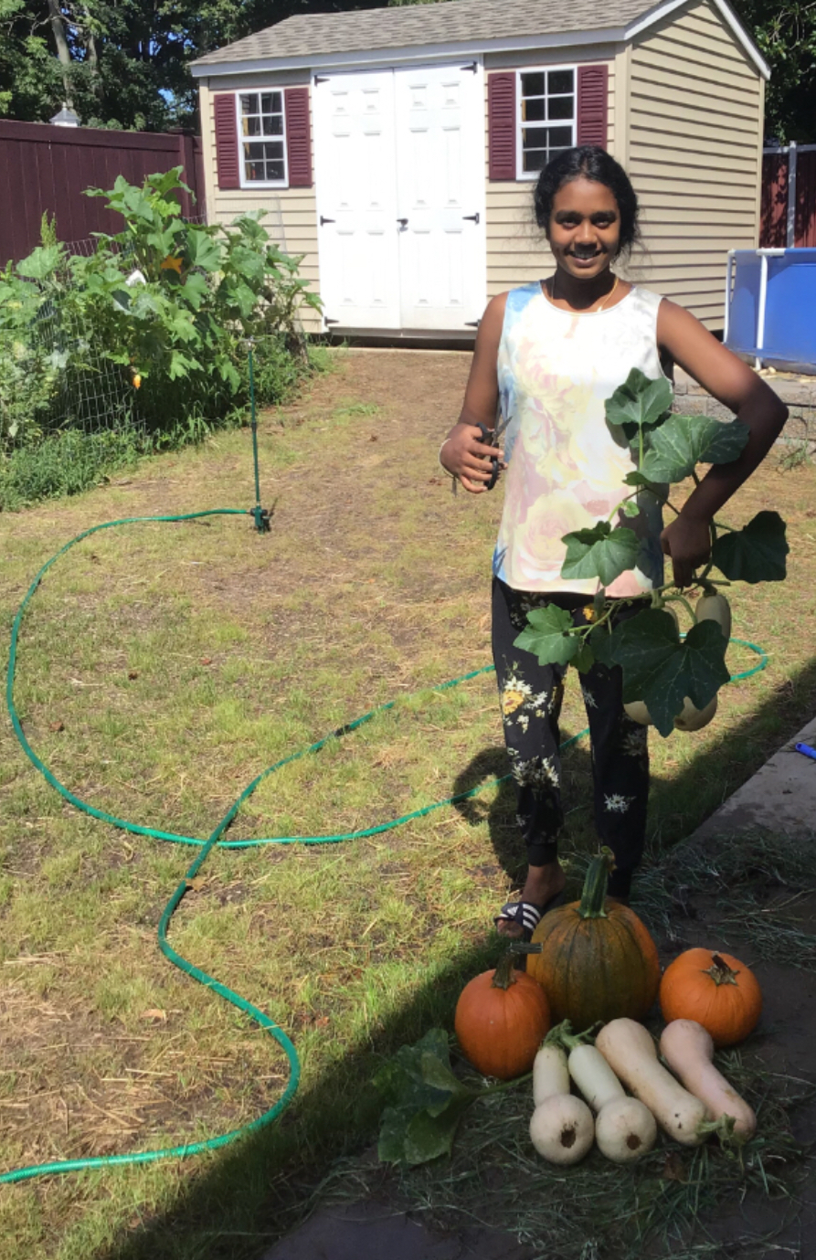 Garden Food Distribution photo
